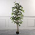 Supergreens Texnito Dentro Bampou Lucky 180cm 0430-6